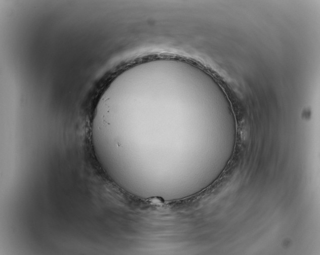 X0000102341495200808151716