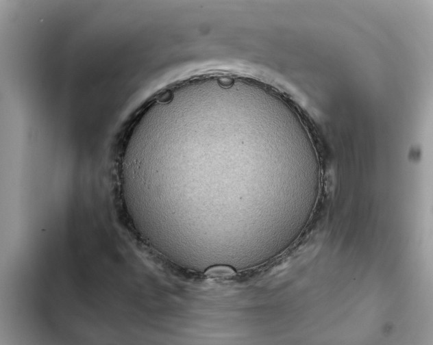 X0000102341496200808151716