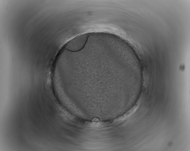 X0000102341497200808151716