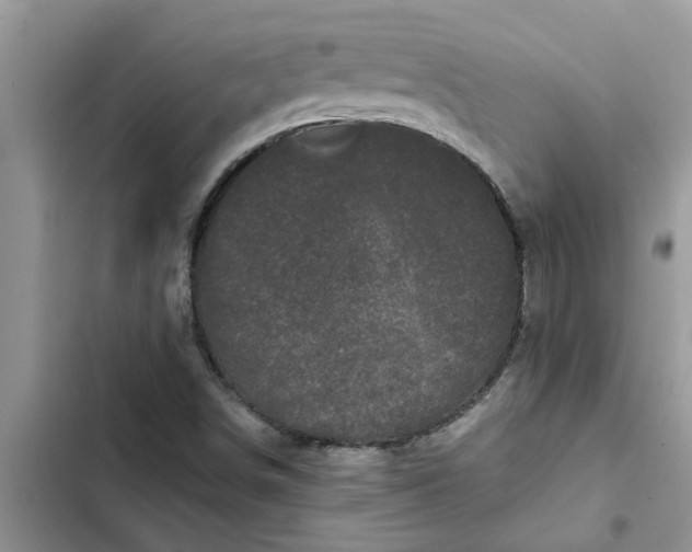 X0000102341498200808151716