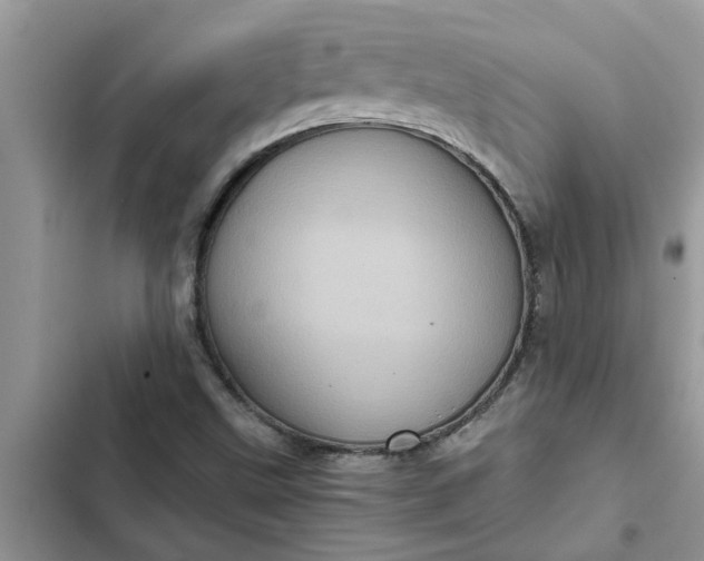 X0000102341499200808151716