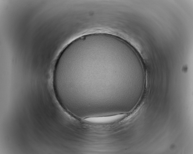 X0000102341500200808151716