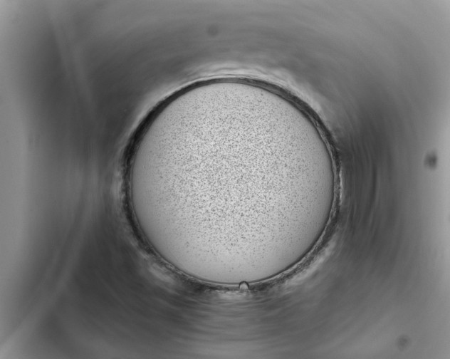 X0000102341501200808151716