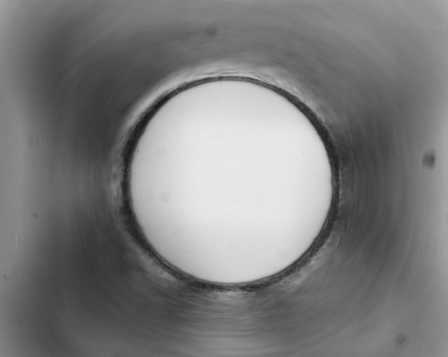 X0000102341502200808151716