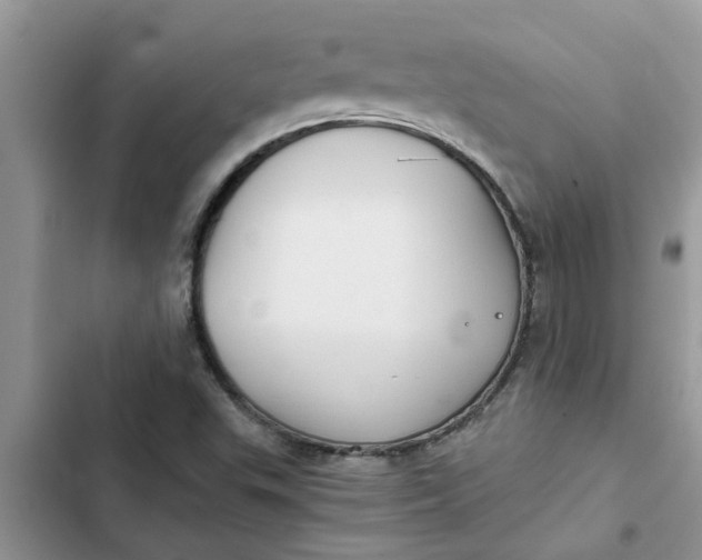 X0000102341503200808151716