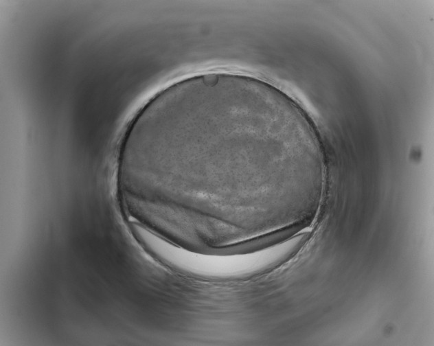 X0000102341504200808151716