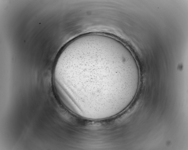 X0000102341505200808151716