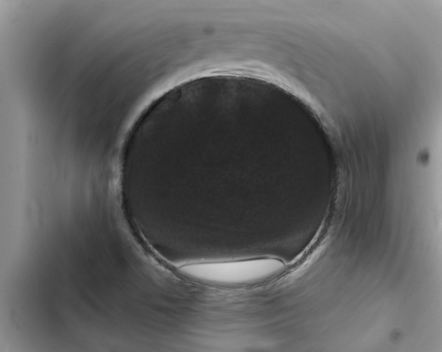 X0000102341506200808151716