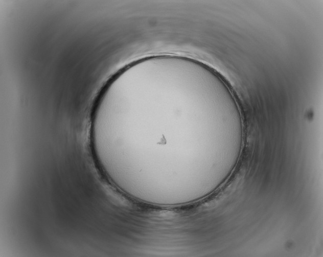 X0000102341507200808151716