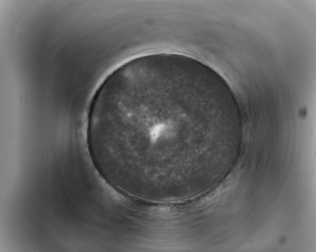 X0000102341508200808151716