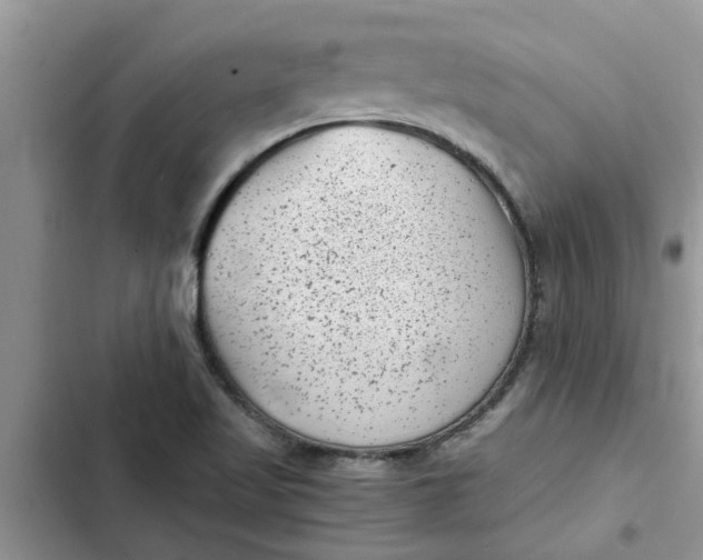 X0000102341509200808151716