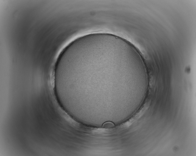 X0000102341510200808151716