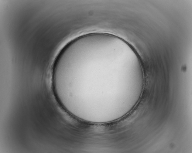 X0000102341511200808151716