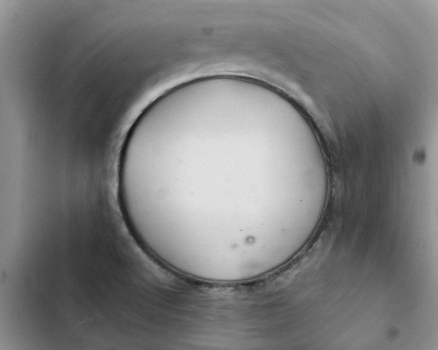 X0000102341512200808151716