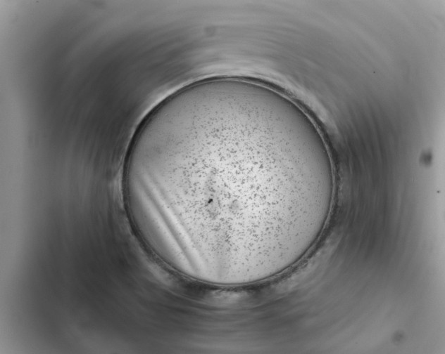 X0000102341513200808151716