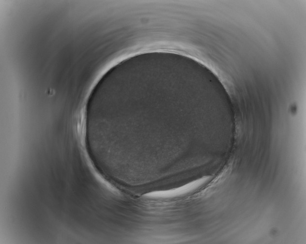 X0000102341515200808151716