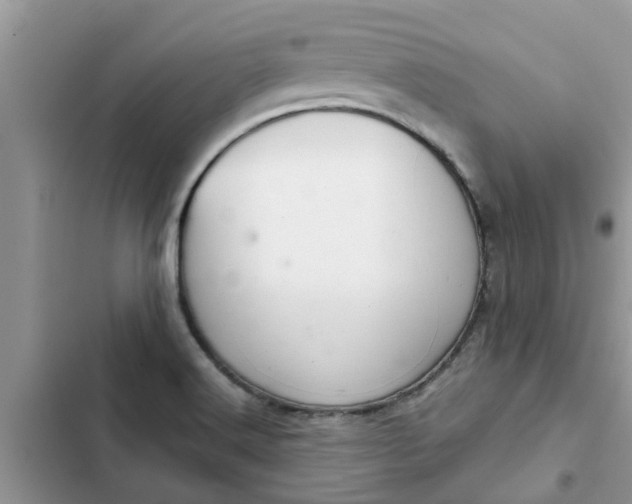 X0000102341516200808151716