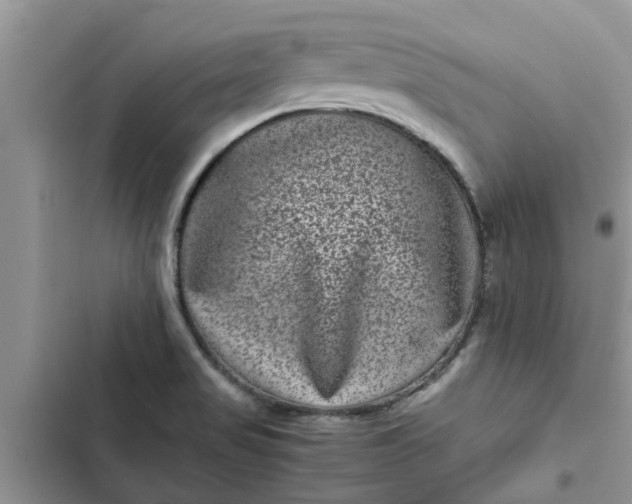 X0000102341517200808151716