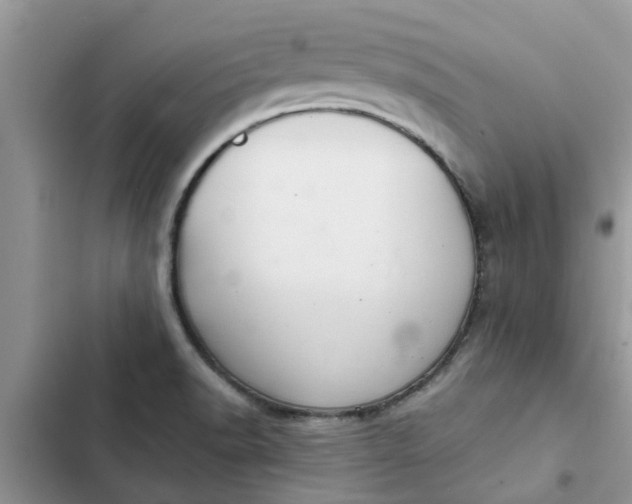 X0000102341518200808151716