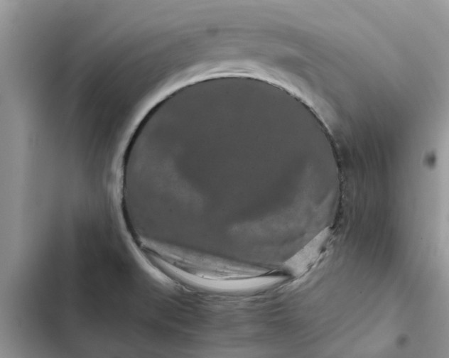 X0000102341519200808151716