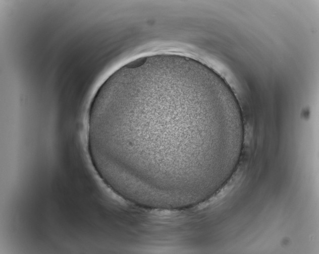 X0000102341520200808151716