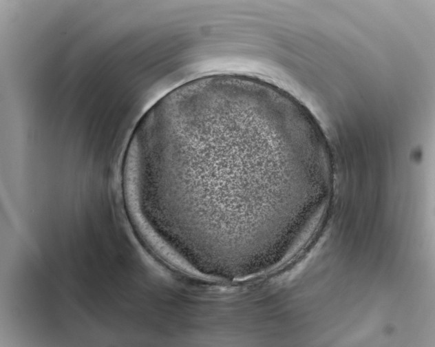 X0000102341521200808151716