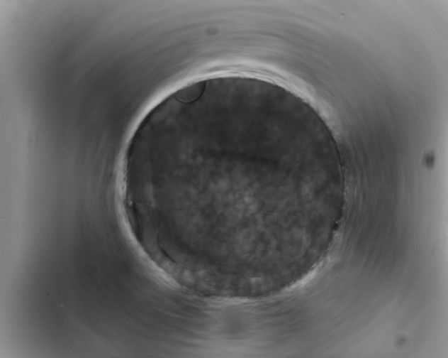 X0000102341522200808151716