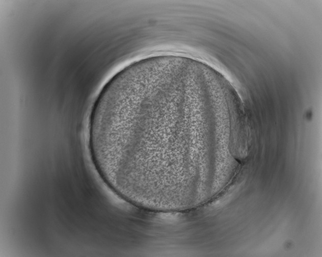 X0000102341523200808151716