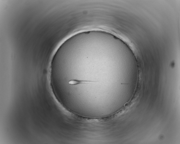 X0000102341524200808151716