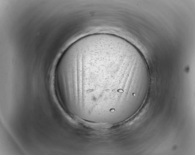 X0000102341525200808151716