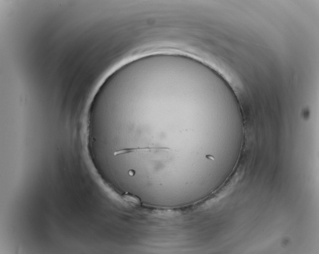 X0000102341526200808151716