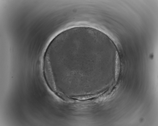 X0000102341527200808151716