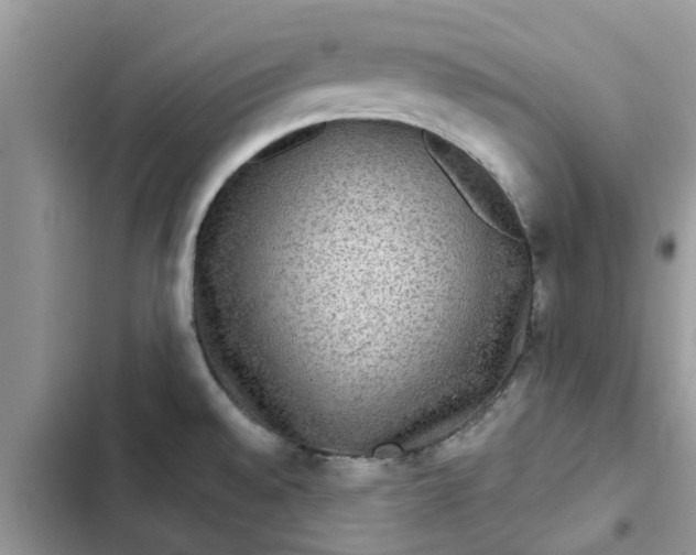 X0000102341528200808151716