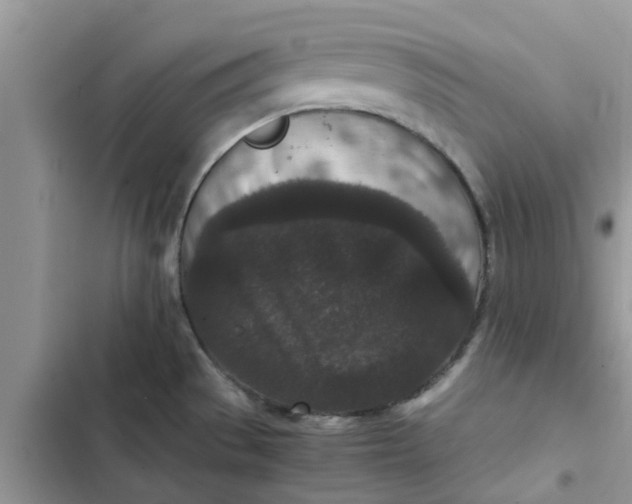 X0000102341529200808151716