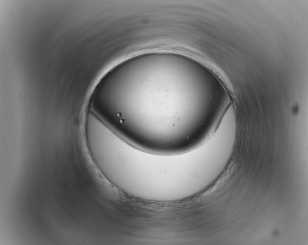 X0000102341530200808151716