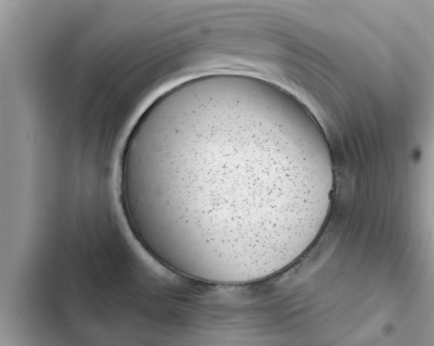 X0000102341531200808151716