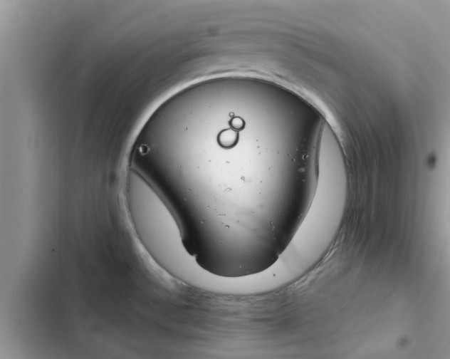 X0000102341532200808151716