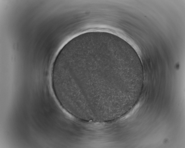 X0000102341533200808151716