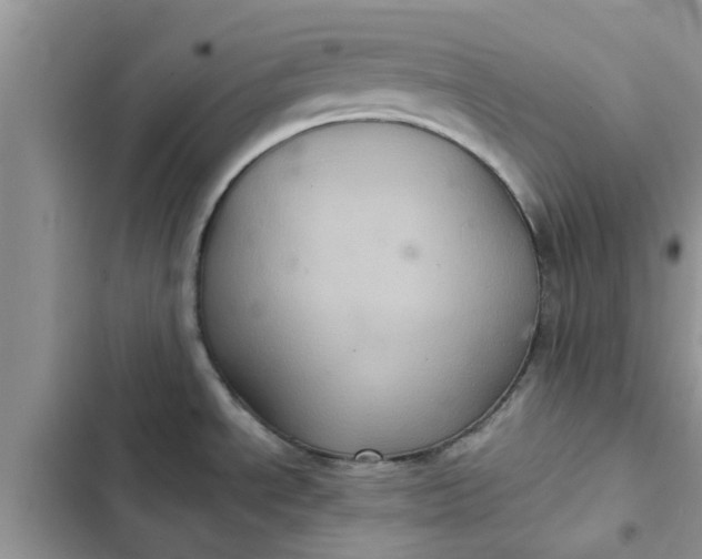 X0000102341534200808151717