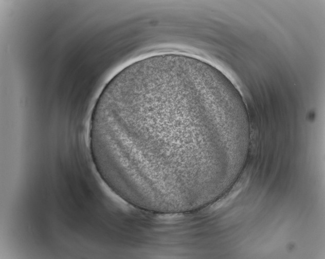 X0000102341535200808151717