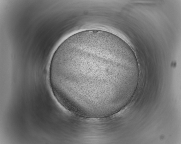 X0000102341536200808151717