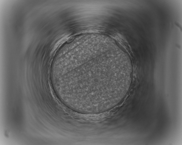 X0000102340001200808221641