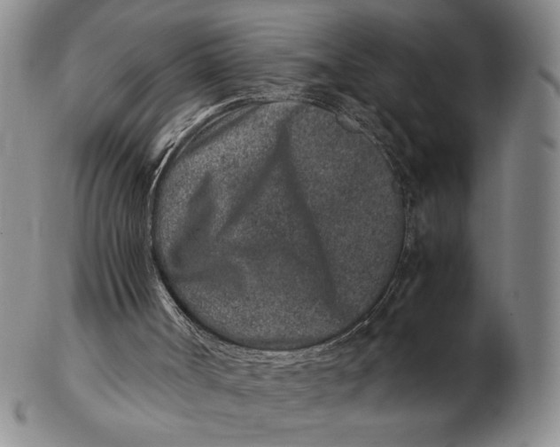 X0000102340002200808221641