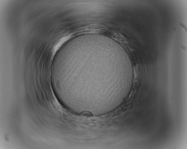 X0000102340003200808221641