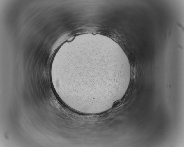 X0000102340004200808221641