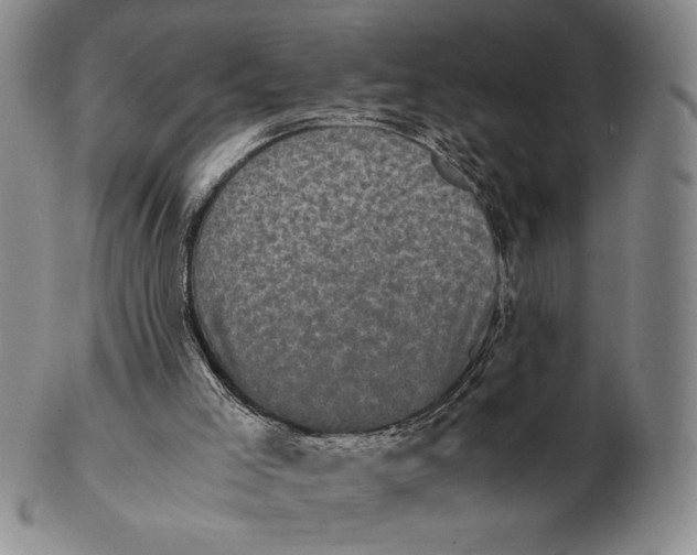 X0000102340005200808221641