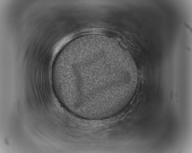 X0000102340006200808221641