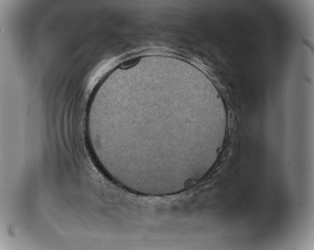 X0000102340007200808221641