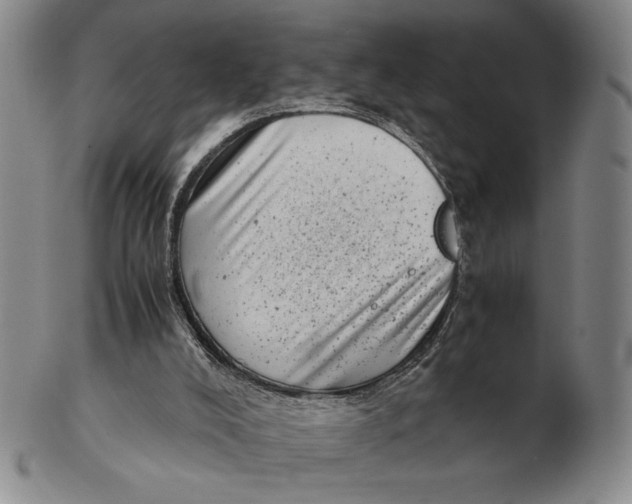 X0000102340008200808221641