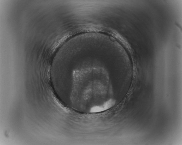 X0000102340009200808221641